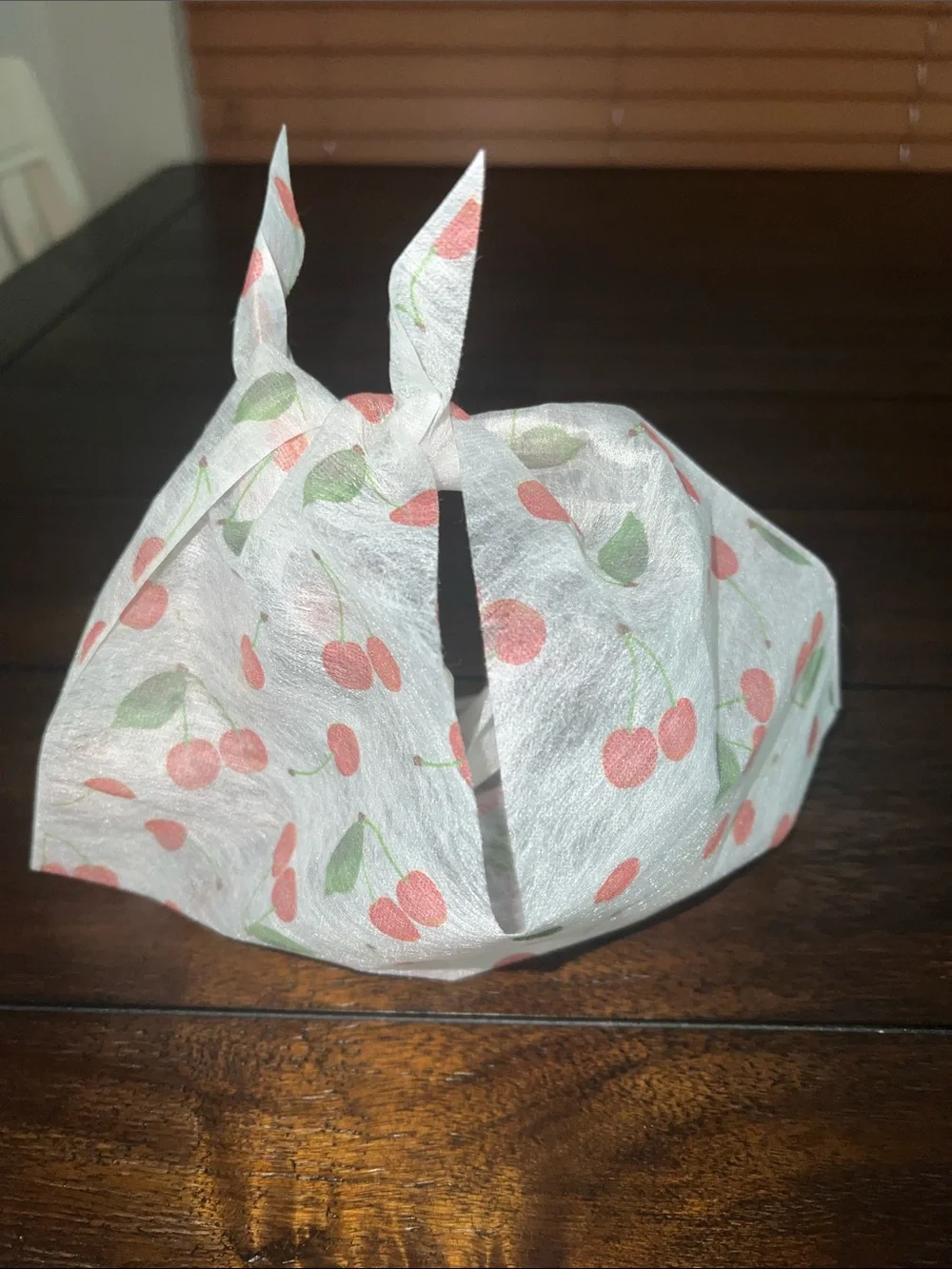 Cherry Print Eco Friendly Gift Bag